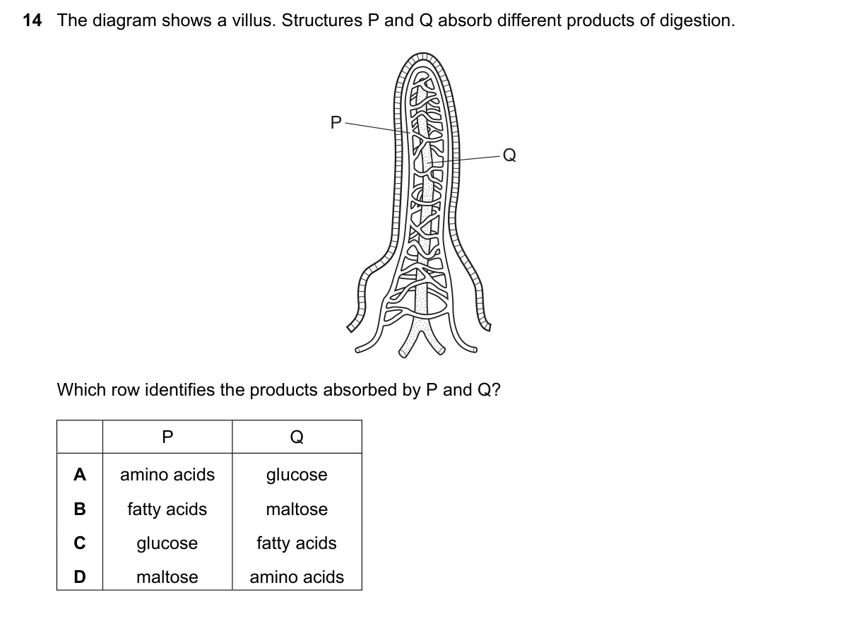 Question 14, March 2023, 0610 Paper 22