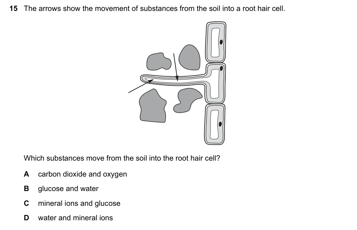Question 15, March 2023, 0610 Paper 22
