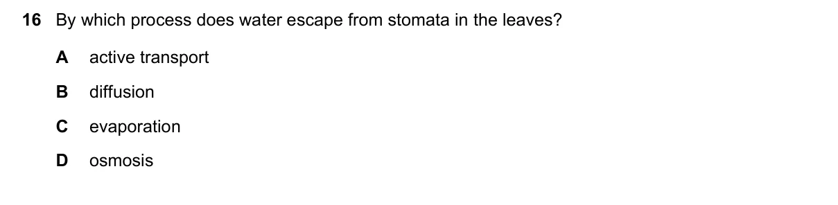 Question 16, March 2023, 0610 Paper 22