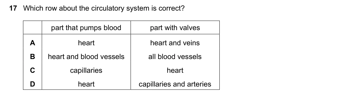 Question 17, March 2023, 0610 Paper 22