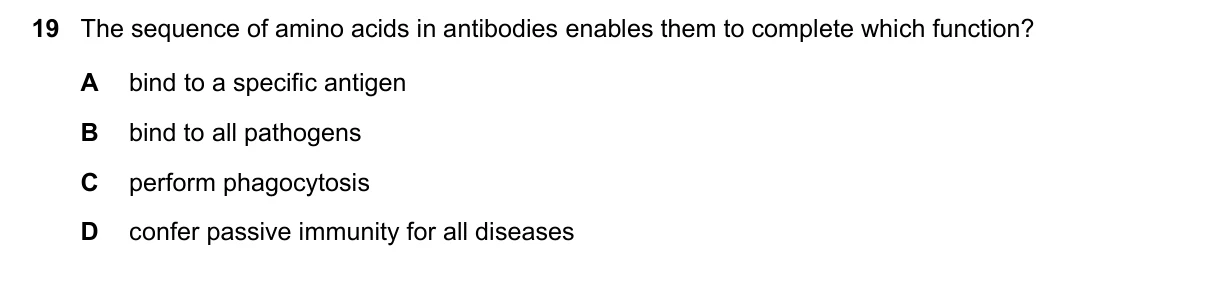 Question 19, March 2023, 0610 Paper 22