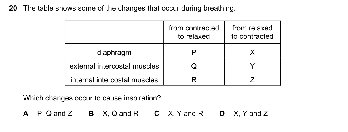 Question 20, March 2023, 0610 Paper 22