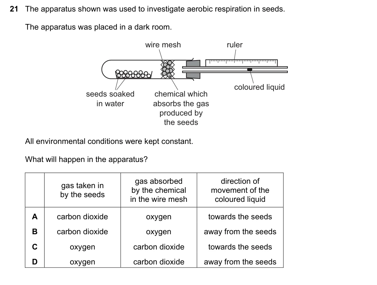 Question 21, March 2023, 0610 Paper 22