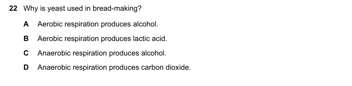 Question 22, March 2023, 0610 Paper 22
