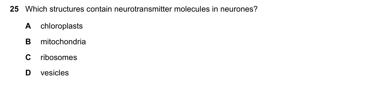 Question 25, March 2023, 0610 Paper 22