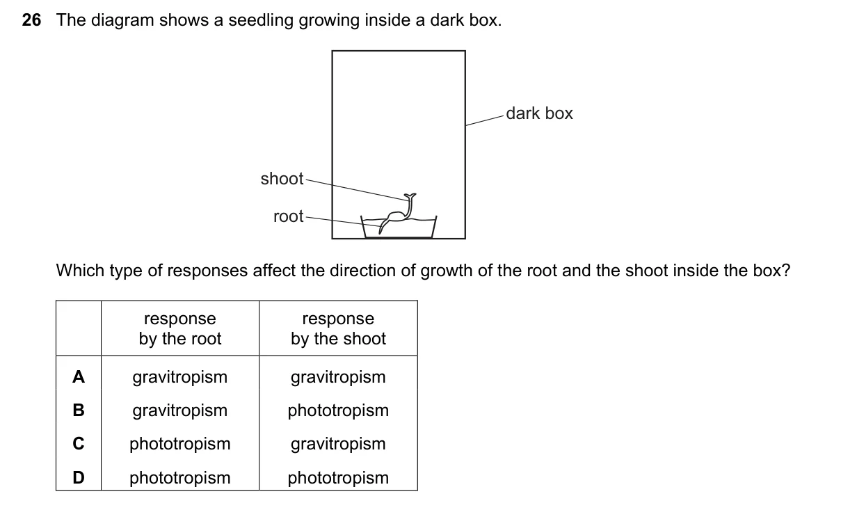 Question 26, March 2023, 0610 Paper 22