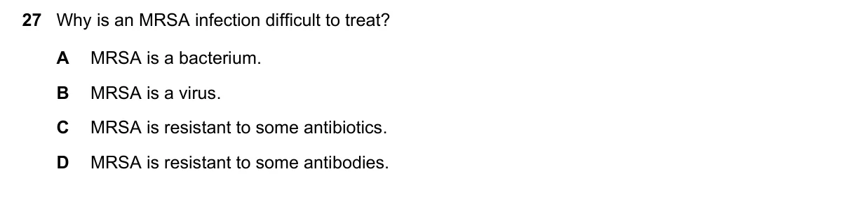 Question 27, March 2023, 0610 Paper 22