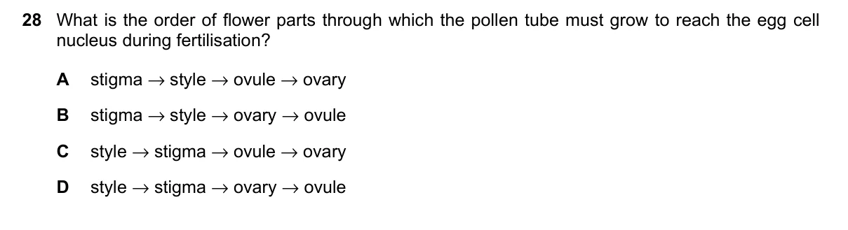 Question 28, March 2023, 0610 Paper 22
