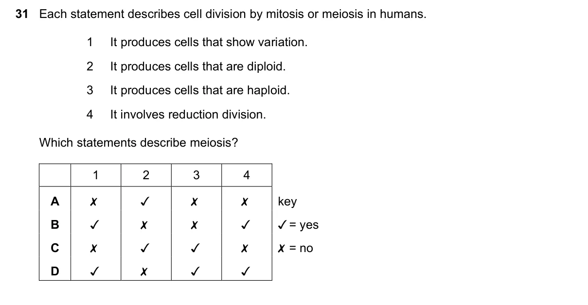 Question 31, March 2023, 0610 Paper 22
