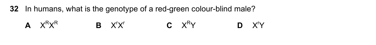 Question 32, March 2023, 0610 Paper 22