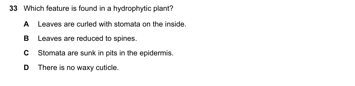 Question 33, March 2023, 0610 Paper 22