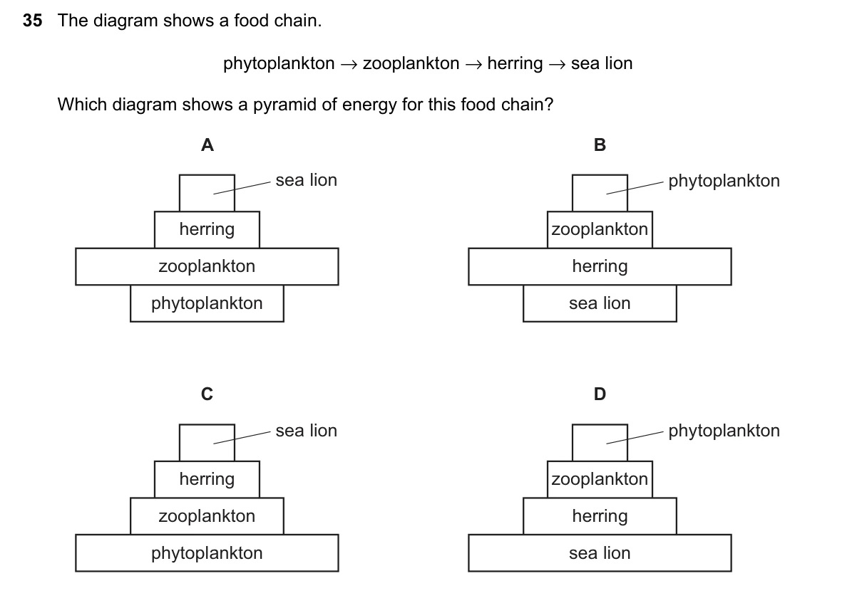 Question 35, March 2023, 0610 Paper 22