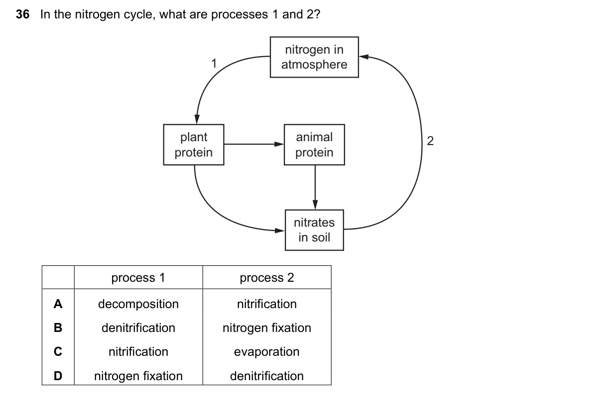 Question 36, March 2023, 0610 Paper 22