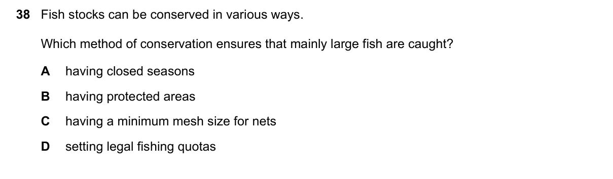 Question 38, March 2023, 0610 Paper 22
