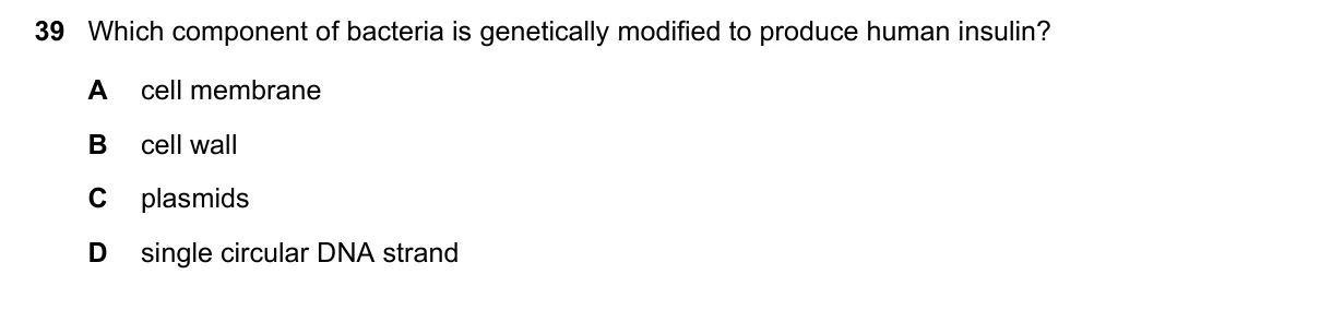 Question 39, March 2023, 0610 Paper 22