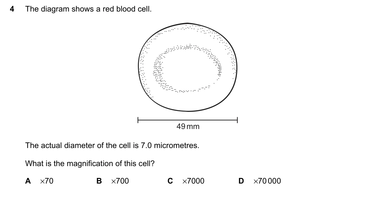 Question 4, March 2023, 0610 Paper 22