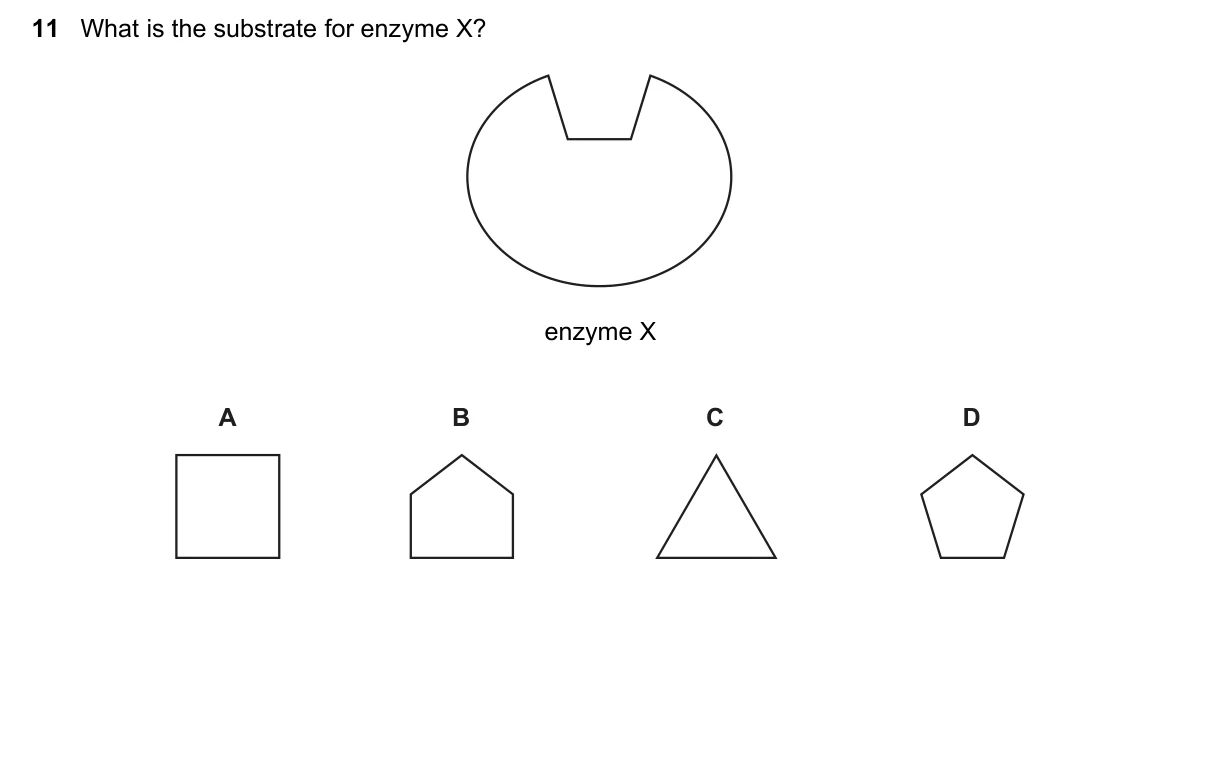 Question 11, June 2023, 0610 Paper 11