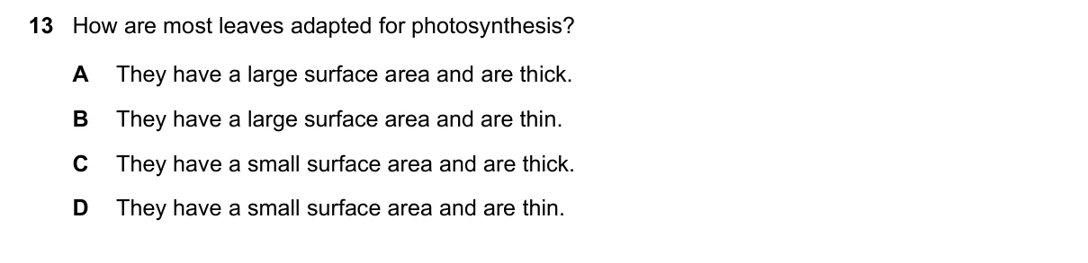 Question 13, June 2023, 0610 Paper 11