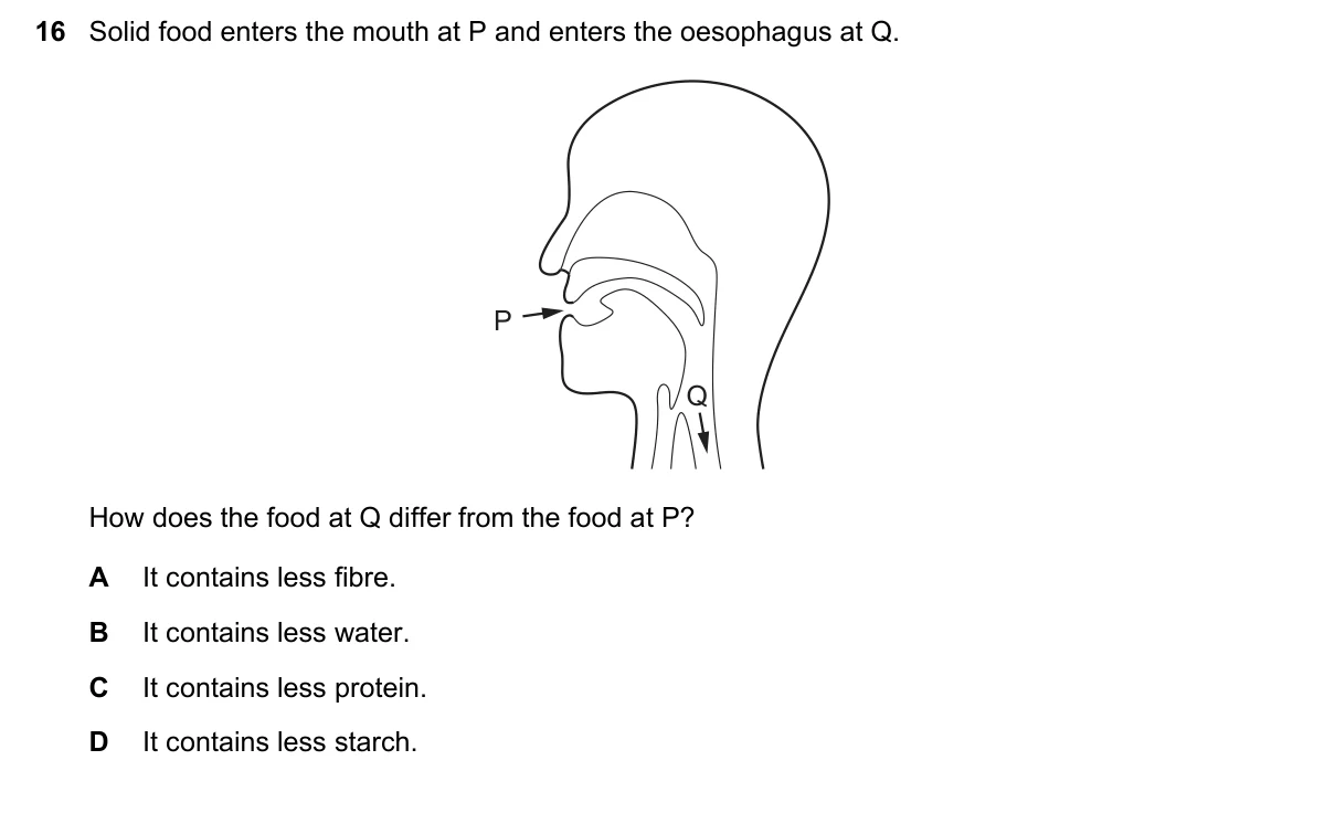 Question 16, June 2023, 0610 Paper 11