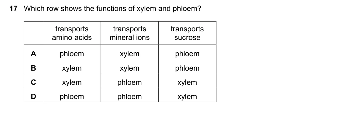 Question 17, June 2023, 0610 Paper 11