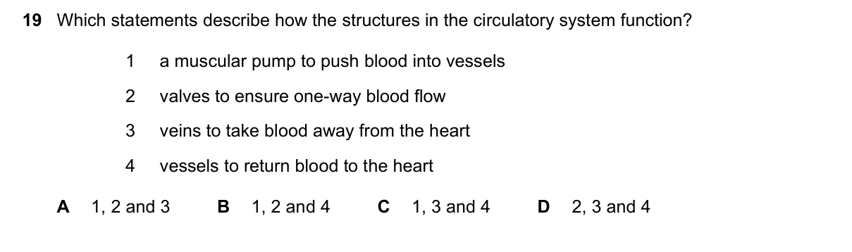 Question 19, June 2023, 0610 Paper 11