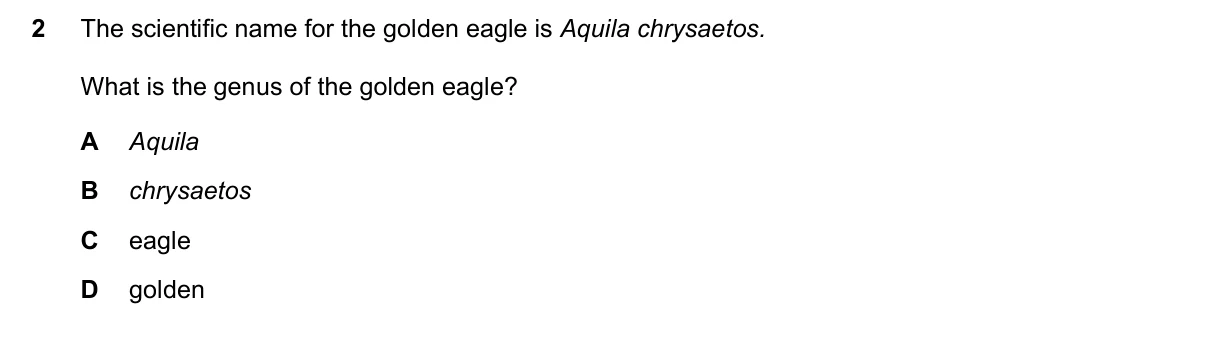 Question 2, June 2023, 0610 Paper 11
