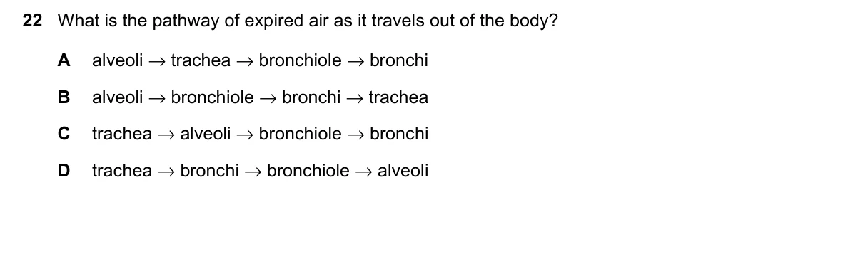 Question 22, June 2023, 0610 Paper 11