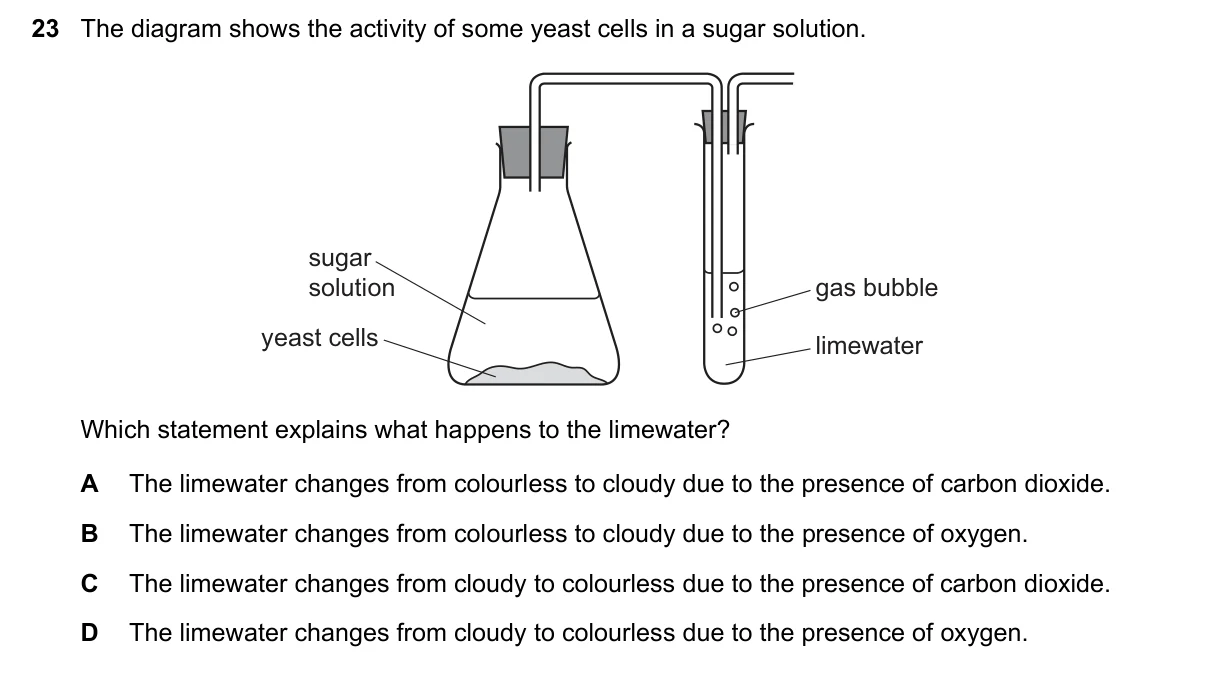 Question 23, June 2023, 0610 Paper 11