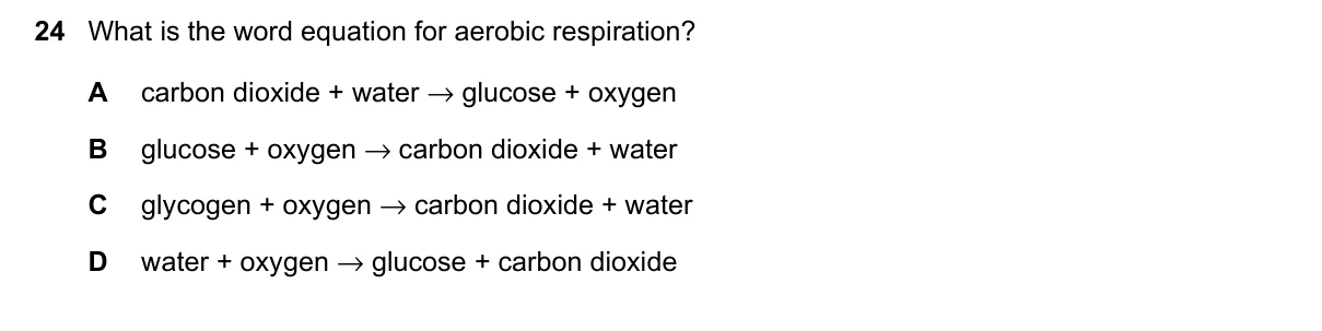 Question 24, June 2023, 0610 Paper 11