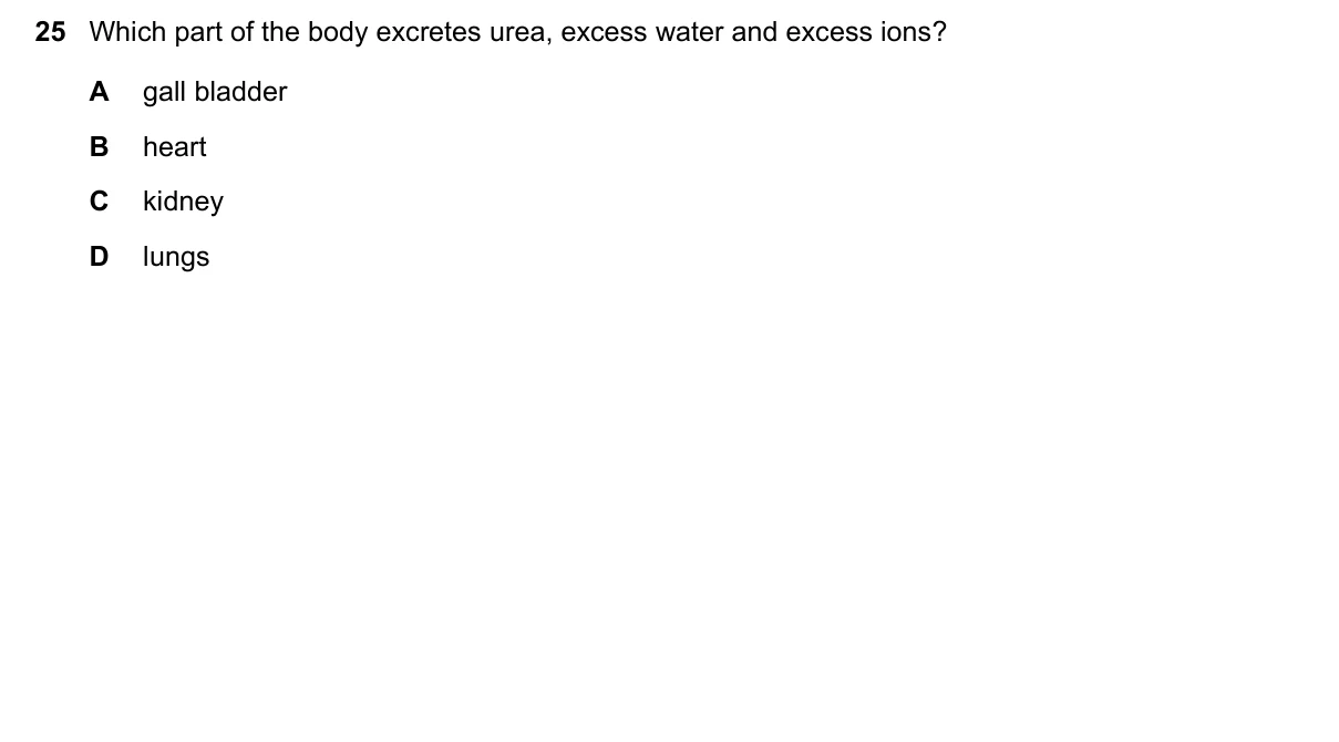Question 25, June 2023, 0610 Paper 11