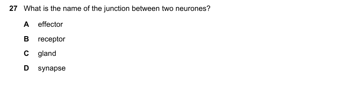 Question 27, June 2023, 0610 Paper 11