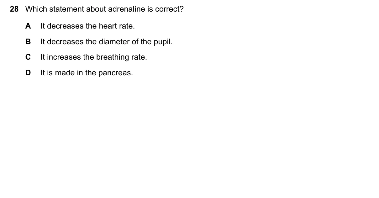 Question 28, June 2023, 0610 Paper 11