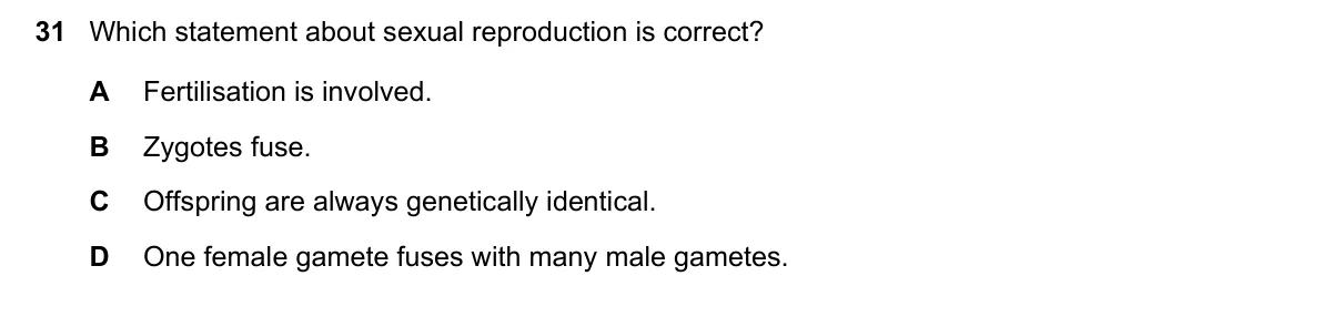 Question 31, June 2023, 0610 Paper 11