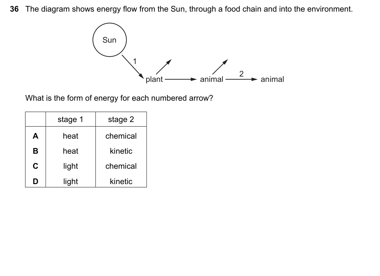 Question 36, June 2023, 0610 Paper 11
