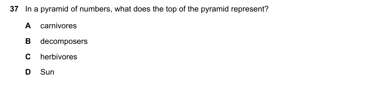 Question 37, June 2023, 0610 Paper 11