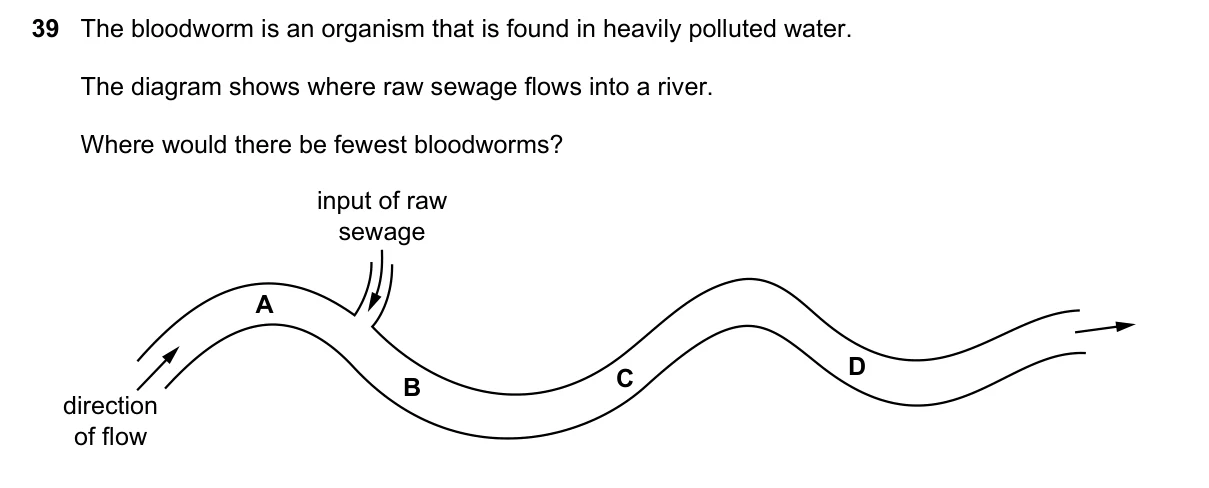 Question 39, June 2023, 0610 Paper 11