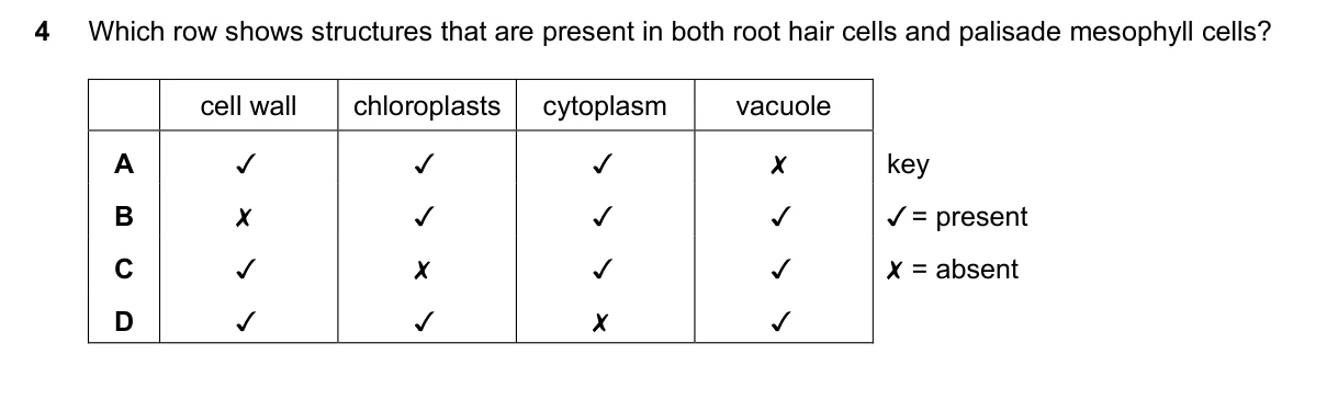 Question 4, June 2023, 0610 Paper 11