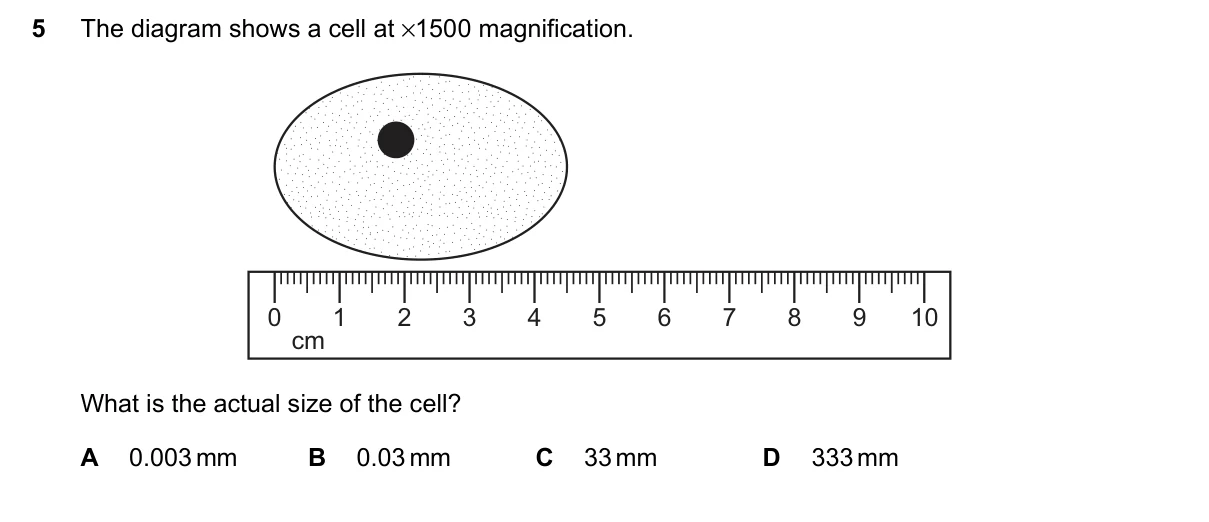 Question 5, June 2023, 0610 Paper 11