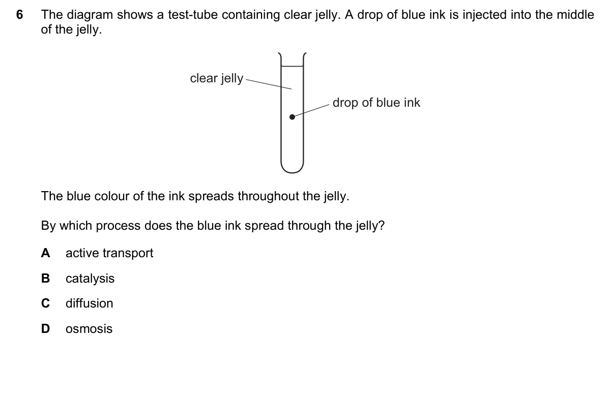 Question 6, June 2023, 0610 Paper 11