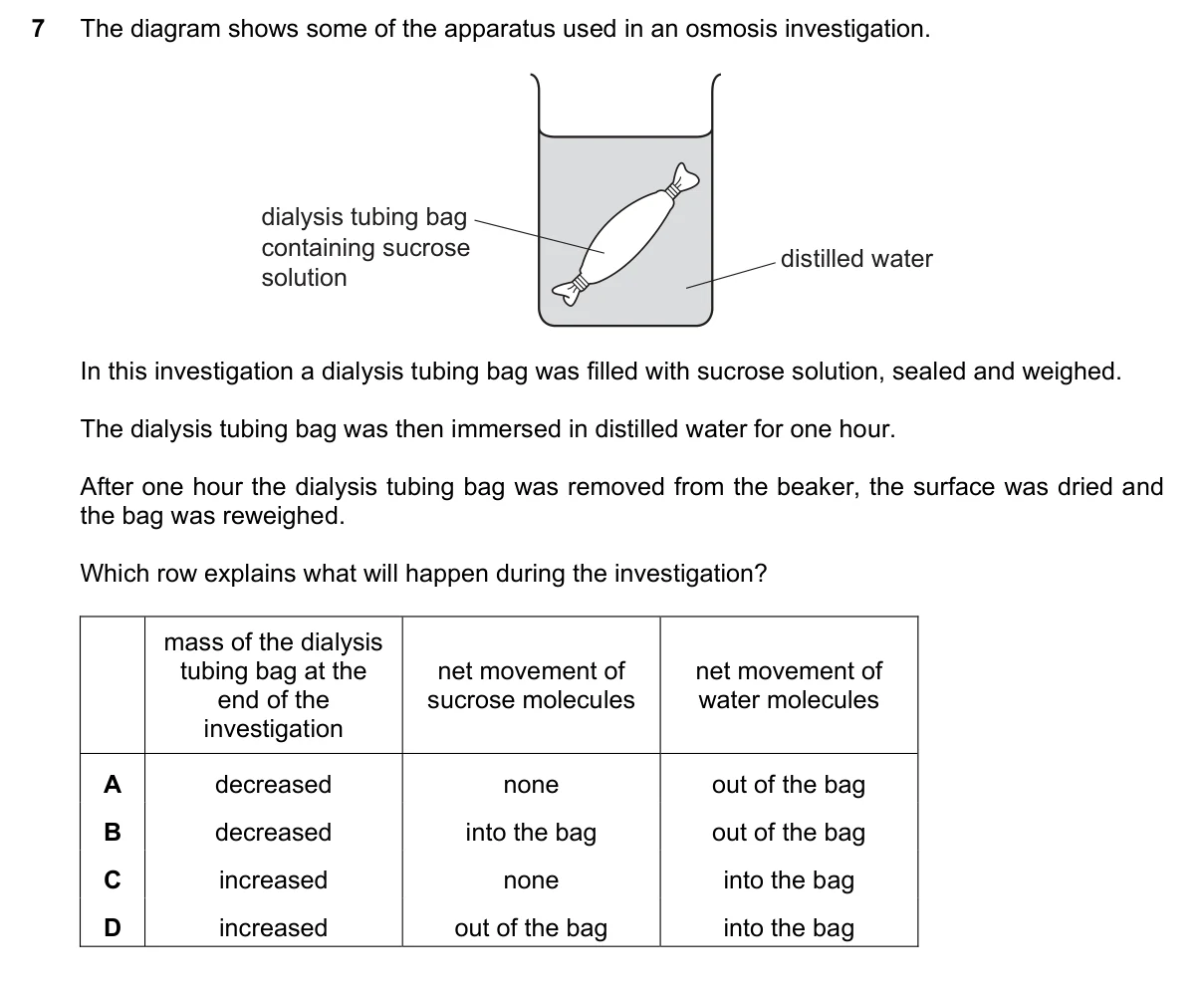 Question 7, June 2023, 0610 Paper 11