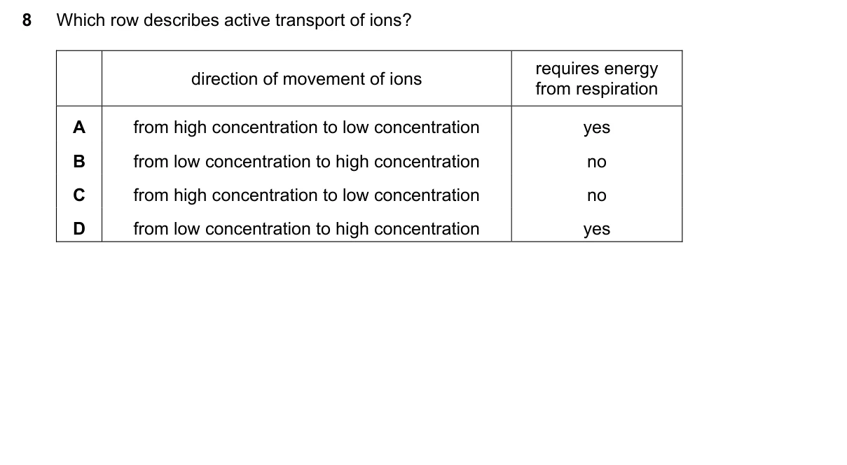 Question 8, June 2023, 0610 Paper 11