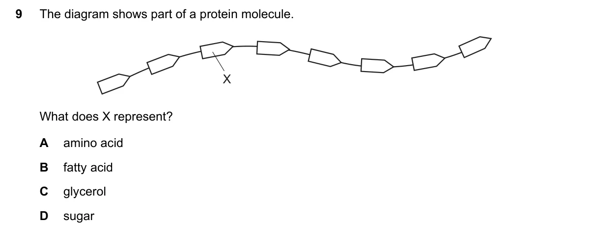 Question 9, June 2023, 0610 Paper 11