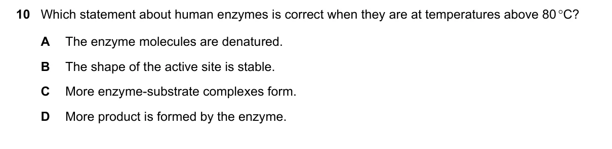 Question 10, June 2023, 0610 Paper 21