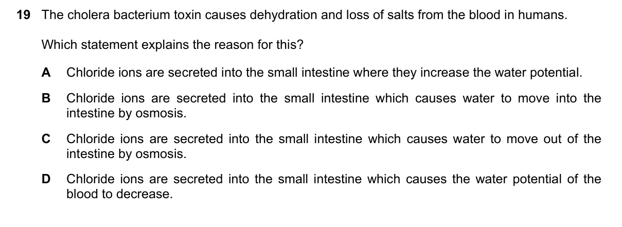 Question 19, June 2023, 0610 Paper 21