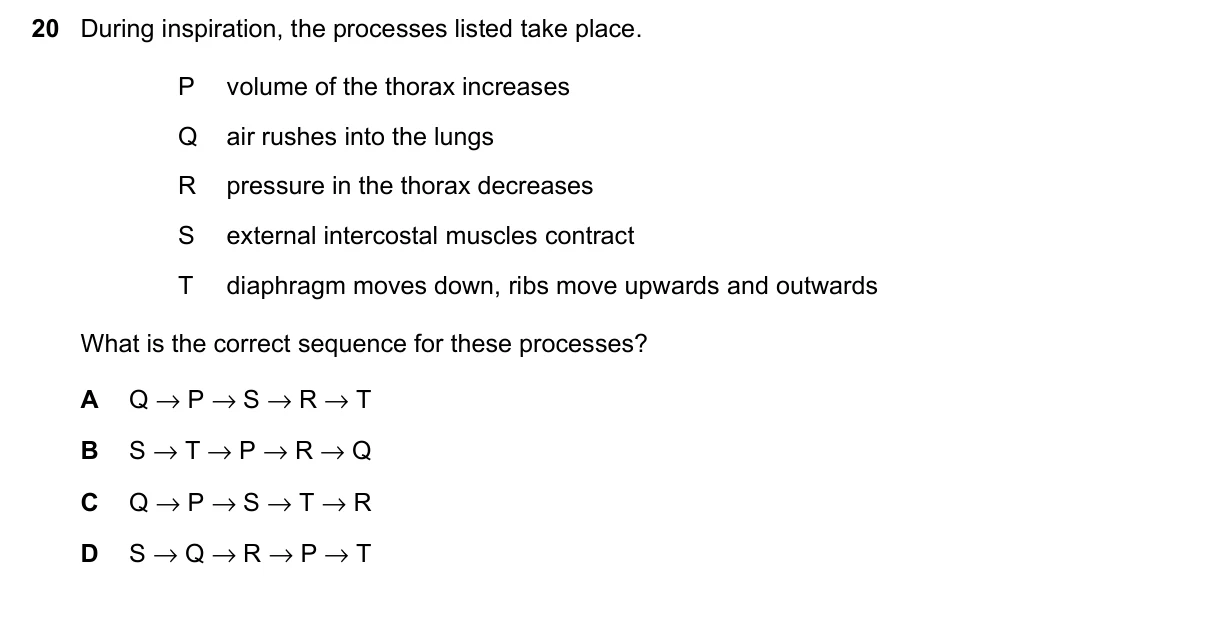 Question 20, June 2023, 0610 Paper 21