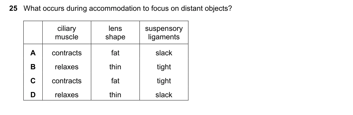 Question 25, June 2023, 0610 Paper 21