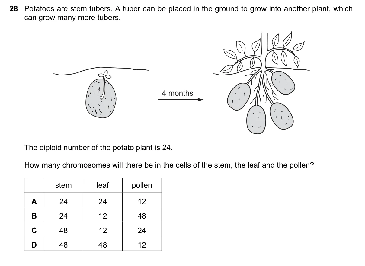 Question 28, June 2023, 0610 Paper 21