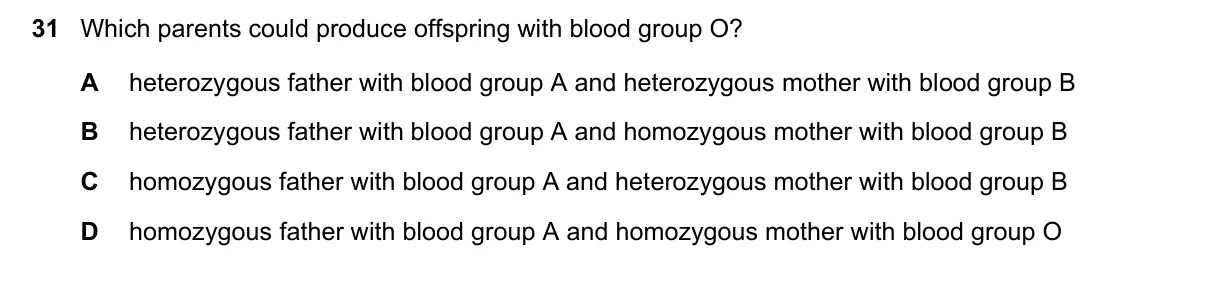 Question 31, June 2023, 0610 Paper 21
