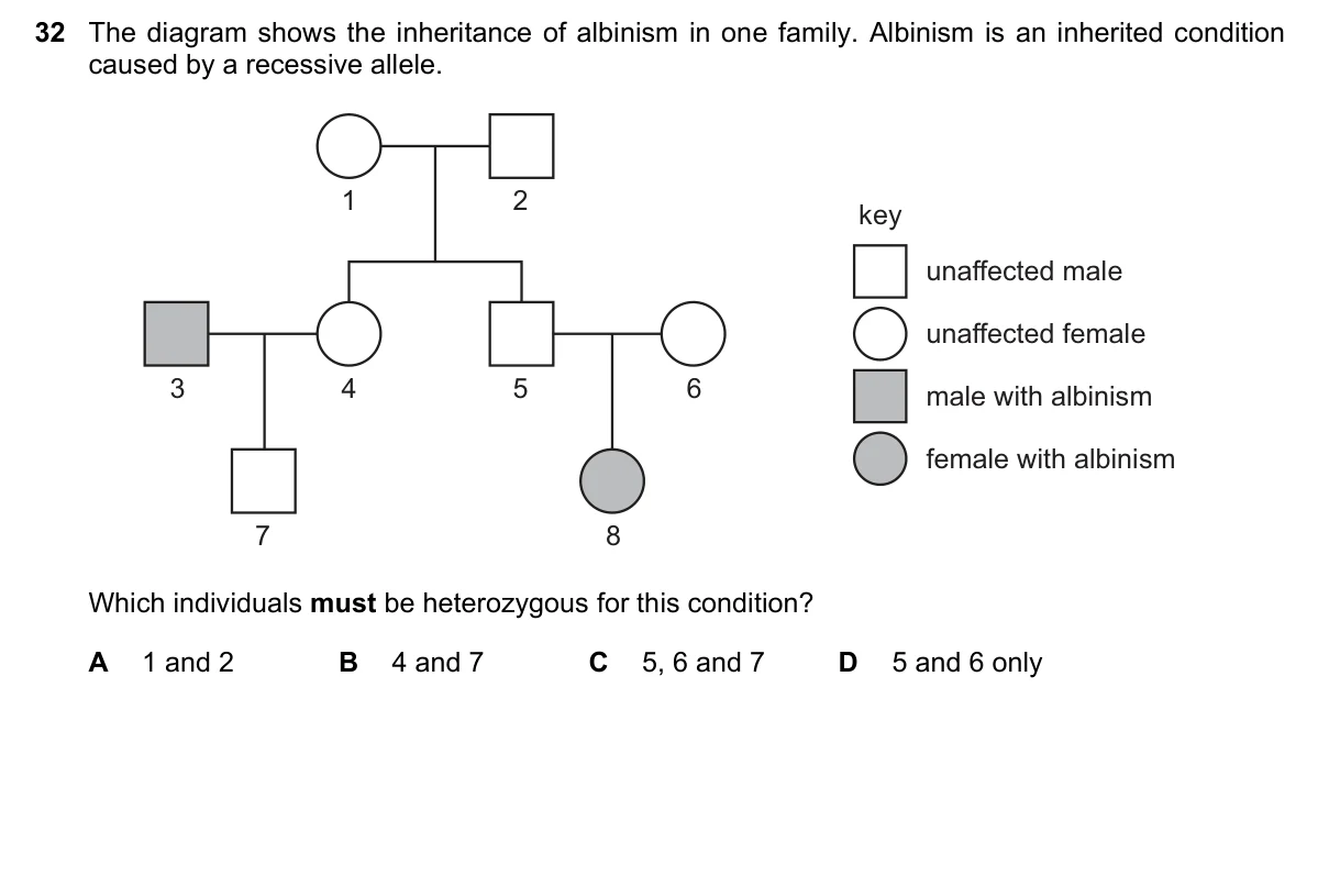 Question 32, June 2023, 0610 Paper 21