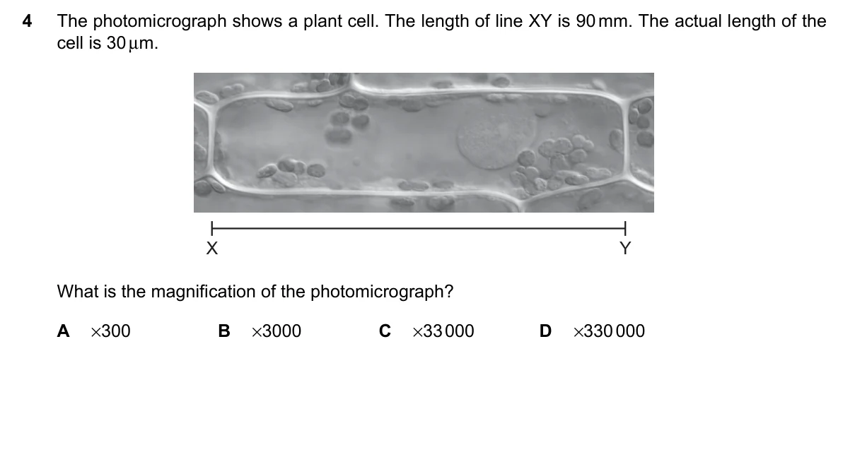 Question 4, June 2023, 0610 Paper 21